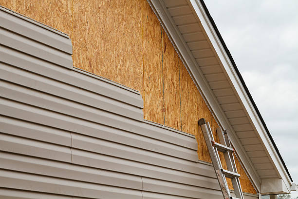Professional Siding Repair technician working in Union, KY